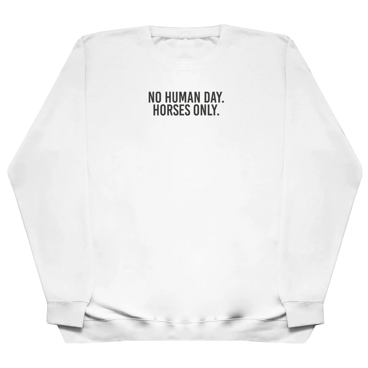 No Human Day. Horses Only - Kids Oversized Comfy Sweater