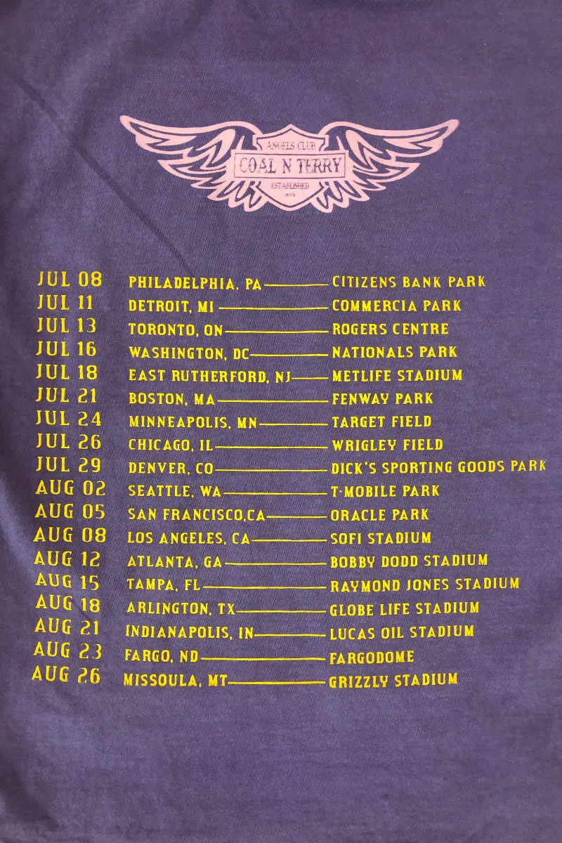 PURPLE N GOLD TOUR LIFE TEE