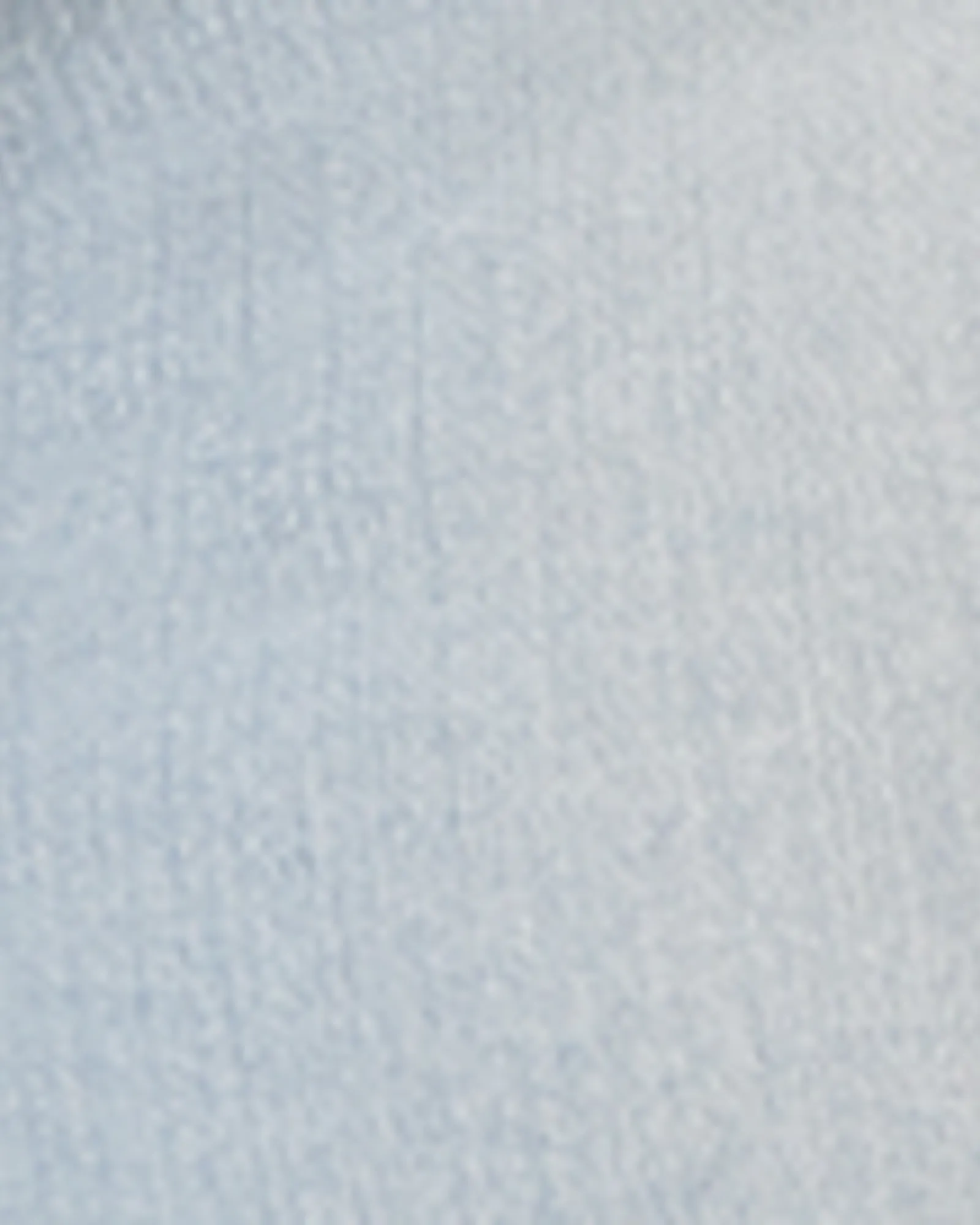 Regina Rolled Hem Short | Light Wash
